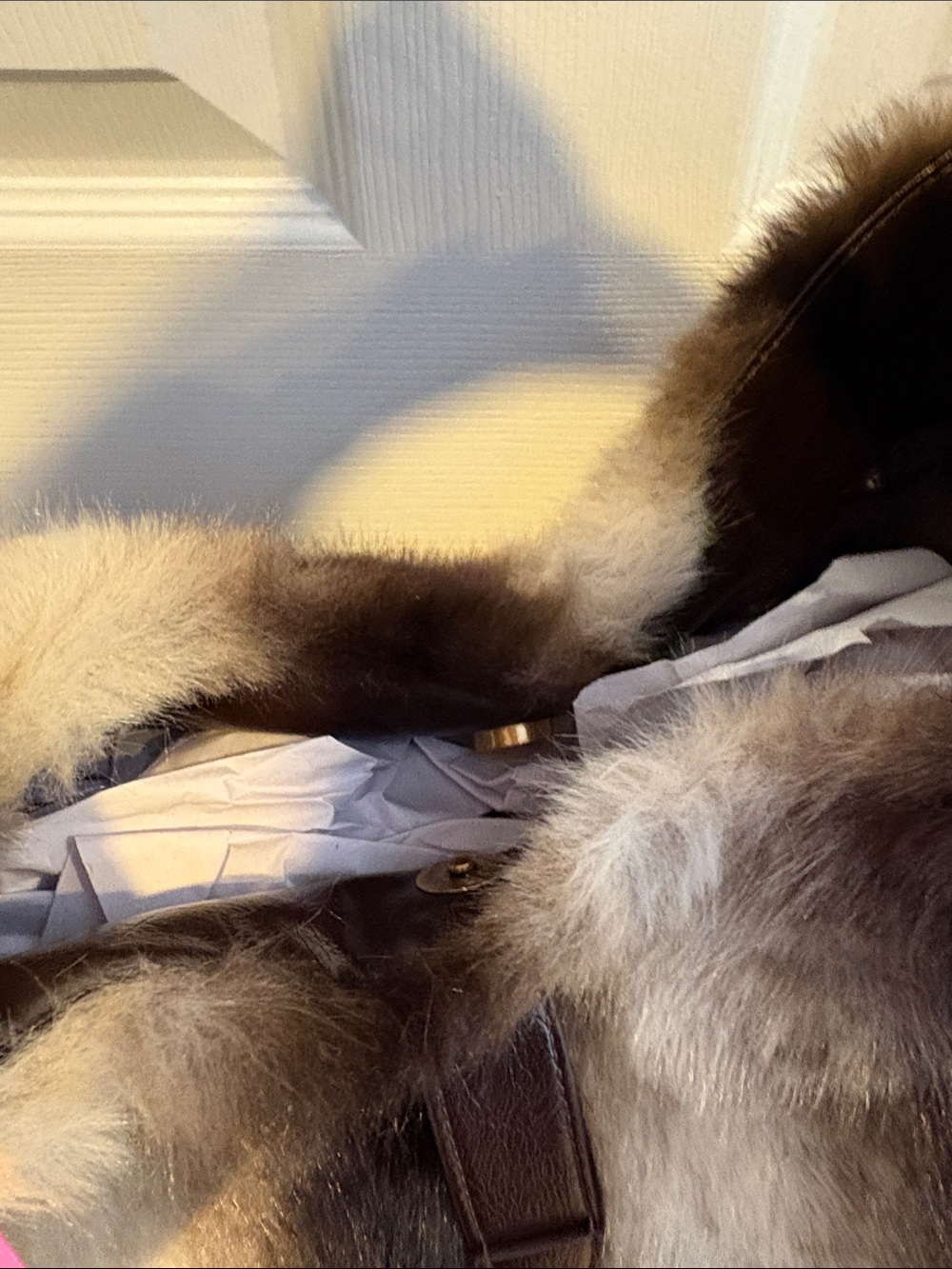 BNWT BETSEY JOHNSON VIRAL Plush Faux Fur Hobo Tote Bag in Brown and Cream - Picture 9 of 12